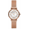 Image de Montre Armani ar11320