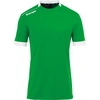 Image de Kempa Player Maillot de Handball Homme vert/blanc M