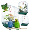 Image de Cage à oiseaux colorée Relaxdays - Volière avec équipement pour perroquets et canaris, classique stable avec balançoire et fond extractible, parfaite pour chaque maison !