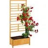 Image de Pot pour plantes grimpantes RD36888