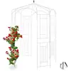 Image de Arche À Rosiers, Pavillon Rosiers, Tonnelle Plante Grimpante, Tuteur Treillis Jardin 250x160x160 Cm, Blanc - Relaxdays