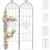 Image de Treillis Jardin Fer Set De 2 Clôture Plante Grimpante Grille Fleurs Arceau Rosier 180 X 50 Cm E, Vert Foncé - Relaxdays