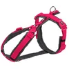 Image de Harnais Trekking S- M Tour De Ventre 44-53 Cm Rose Et Gris Pour Chien - Trixie