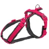 Image de Premium Harnais Trekking M: 53-64 Cm/20 Mm, Fushia/gris Graphite