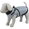 Image de Combinaison Trixie PONTIS - gilet avec harnais, gris argenté