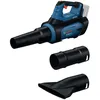 Image de Souffleur GBL 18V-800 Professional - BOSCH - 06008D2200