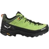 Image de Chaussures Salewa Alp Trainer 2 Gtx 614005660