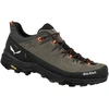 Image de Chaussures Salewa Alp Trainer 2 614027953