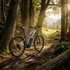 Image de Vélo électrique de montagne Haibike ALLTRACK 4, modèle 27,5 pouces, batterie i600Wh, 9 vitesses.