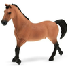 Image de Étalon Trakehner - Müller Exclusiv