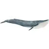 Image de Baleine bleue