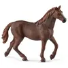 Image de Animal de compagnie - Jument de race Thoroughbred anglaise