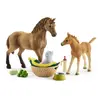 Image de Schleich® Horse Club 42432 Kit de soins pour bébé animal de Sarah