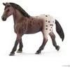 Image de Animal de compagnie - Jument Appaloosa