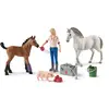 Image de Schleich Farm World 42486 Visite médicale de la jument et de son poulain