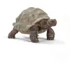 Image de Schleich 14824 Wild Life Tortue géante