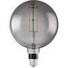 Image de Ampoule LED SMART+ WiFi, modèle Globe, à intensité variable, verre sans plomb, finition fumée, 6 W (équivalent à 42 W), 500 lumens, lumière blanc chaud, 2500 K, Wi-Fi, compatible avec les assistants vocaux, intensité variable