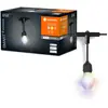 Image de LEDVANCE Guirlande lumineuse WiFi SMART+ Outdoor, 4,5W, 240lm, noir, lumière blanche chaude (3000K) & lumière RGB avec 16 millions de couleurs, contrôlable par app, compatible avec Amazon, Google, IP44