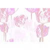 Image de Papier Peint Panoramique Tulipe Rose & Blanc Tapisserie Panoramique Chambre Motif Fleur Papier Peint Panoramique Salon Floral
