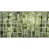 Image de Papier Peint Panoramique Trompe L'Oeil Jungle & Fenêtre Tapisserie Panoramique Verte Forêt De Bambous Papier Peint Panoramique Idéal Cuisine - Orange, Rouge, Turquoise, Violet