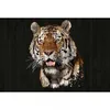 Image de Papier Peint Panoramique Noir Motif Animaux Tapisserie Panoramique Tigre Imitation Bois Pour Bureau Papier Peint Panoramique Idéal Pour Chambre - Orange, Rouge, Turquoise, Violet