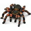 Image de Schleich® 14829 Schleich® Wild Life 14829 Figurine de mygale