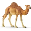 Image de Schleich Wild Life 14832 Dromadaire