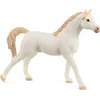 Image de SLH Cheval arabe blanc 72153 37858