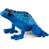 Image de Wild Life Grenouille bleue au venin de flèche