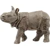 Image de Vie sauvage Panzernashorn Baby
