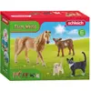 Image de Schleich Farm World Set de démarrage 72161