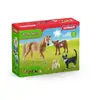 Image de Kit de base Farm World - SCHLEICH - 72161 - A partir de 3 ans - Neuf