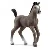 Image de Adorable Poulain Selle Français en quête d'aventures - Neuf