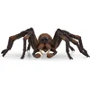 Image de Schleich Wizarding World Aragog 13987