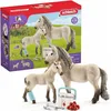 Image de Schleich Horse Club Trousse de secours Hannah 42430