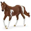 Image de Jument Paint Horse