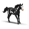 Image de Hongre Paint Horse