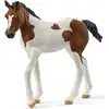 Image de SCHLEICH Peinture cheval poulain Horse Club 14899