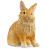 Image de Schleich Farm World Lapin à tête de lion 13974