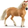 Image de Jument Haflinger