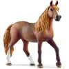 Image de Schleich 13953 - Jument Paso Peruano - Horse Club