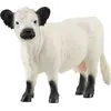 Image de Schleich WIP 13960-BLANCA in White color size Talla unica