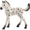 Image de SCHLEICH 13890 Figurine jouet Poulain Knabstrupper