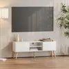 Image de Meuble TV « Eskilstuna » avec 2 portes et 2 étagères Blanc