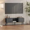 Image de Meuble TV « Eskilstuna » avec 2 portes et 2 étagères Gris foncé