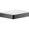 Image de AXOR UNIVERSAL Accessories shelf 150 mm, 42840330