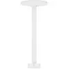 Image de AXOR One, support de plafond de 300 mm pour douchette de plafond 280 2jet, finition blanc mat