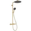Image de Hansgrohe 24594140 Showerpipe Raindance Alive S Puro