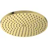 Image de Douche de tête hansgrohe Raindance S, 240 mm, 1 jet PowderRain, finition or poli