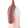 Image de CATRICE | COLOUR CUSHION | Lips
